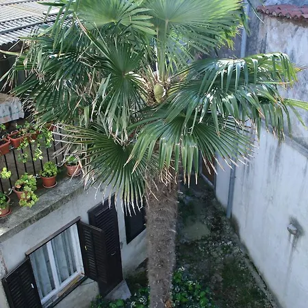 Blue Bench Krk アパート