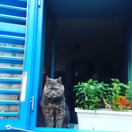 Apartment Blue Bench Krk *