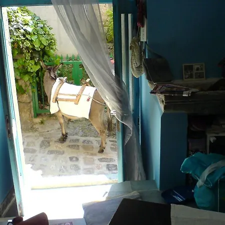 דירה Blue Bench Krk *